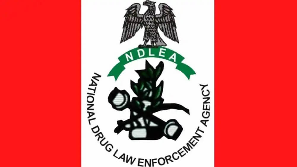 Nigeria’s Battle Against Drug Trafficking: NDLEA’s Recent Successes