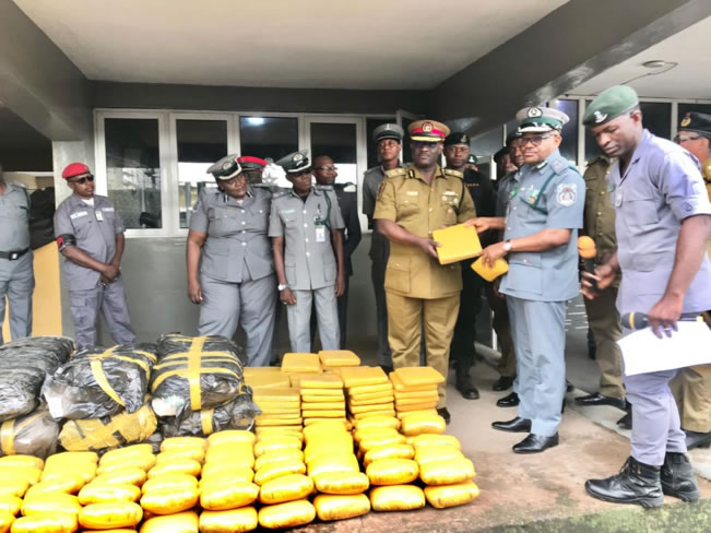 NDLEA Osun State Command Reports Arrest of 252 Suspects in Illicit Drug Operations