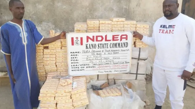 NDLEA Seizes Large Quantity of Illicit Drugs in Kano, Lagos, and Other States