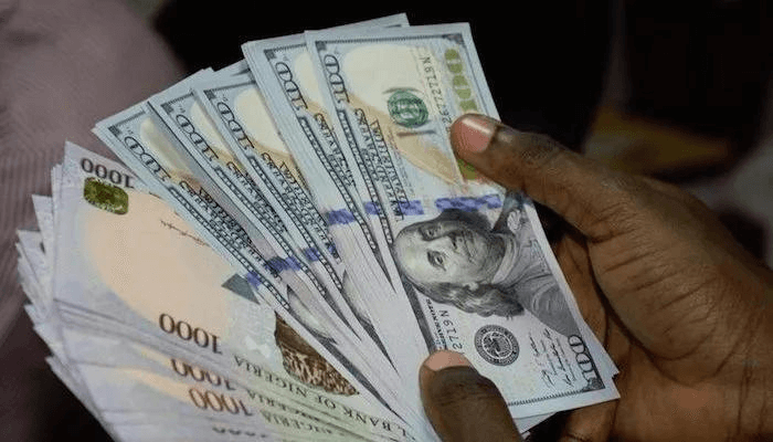 Government Targets $10 Billion to Boost Foreign Exchange Liquidity and Create Jobs in a Bid to Stabilize Naira